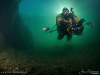 Enns - Buddy im Gegenlicht